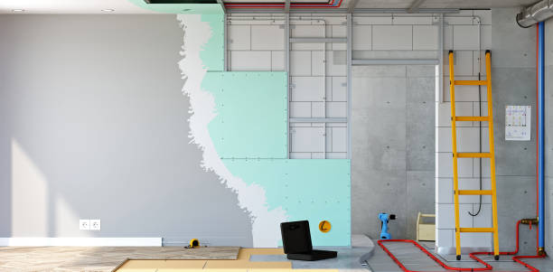 Best Black Mold Removal  in Chatsworth, IL