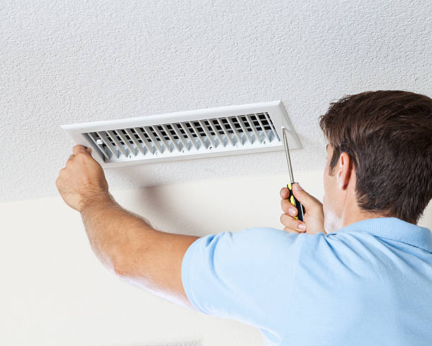 Best Attic Mold Removal  in Chatsworth, IL