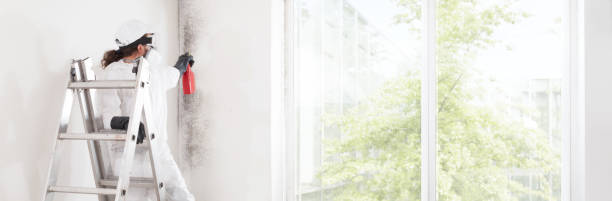 Chatsworth, IL Mold Removal Company