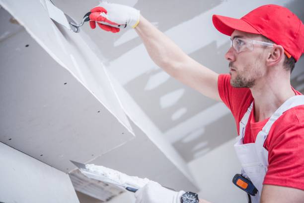Best Forensic Mold Investigation  in Chatsworth, IL