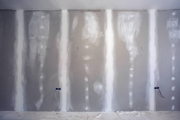 Best Real Estate Mold Inspection  in Chatsworth, IL